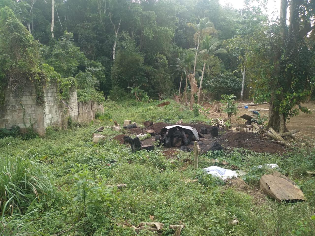 Second image of Church Lincoln in Church Lincoln, Westmoreland, Jamaica - property is For Sale