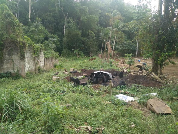 Second image of Church Lincoln in Church Lincoln, Westmoreland, Jamaica - property is For Sale