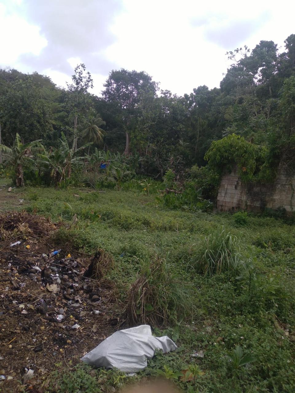 Fourteenth image of Church Lincoln in Church Lincoln, Westmoreland, Jamaica - property is For Sale