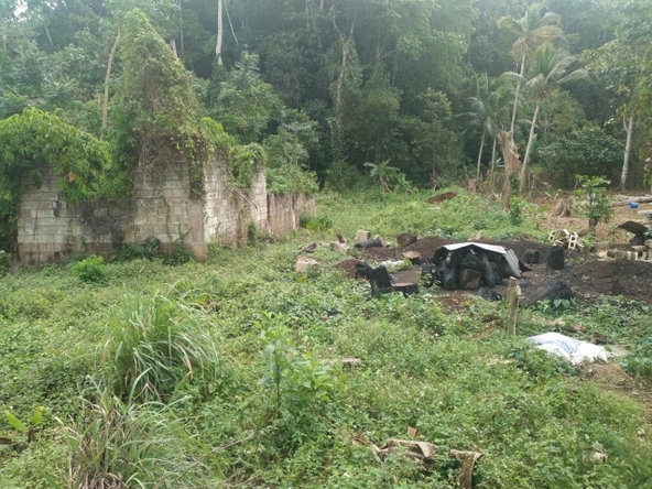 Third image of Church Lincoln in Church Lincoln, Westmoreland, Jamaica - property is For Sale