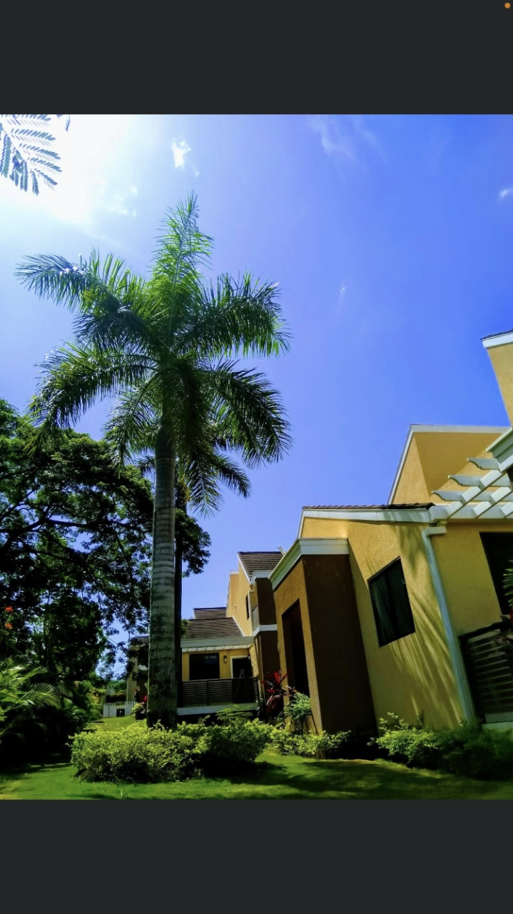 Fifth image of Unit 10- Norman Manley Boulevard in Negril, Westmoreland, Jamaica - property is For Sale