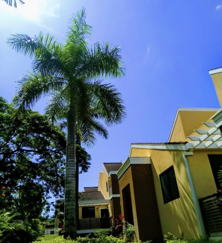 Sixth image of Unit 23- Norman Manley Boulevard in Negril, Westmoreland, Jamaica - property is For Sale
