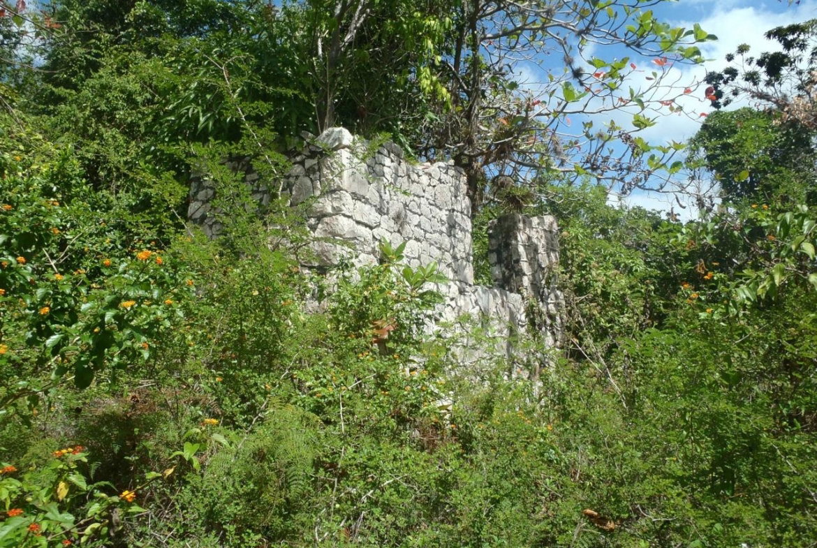 Second image of Aroha--caledonia (part of Caledonia) in Caledonia, Westmoreland, Jamaica - property is For Sale