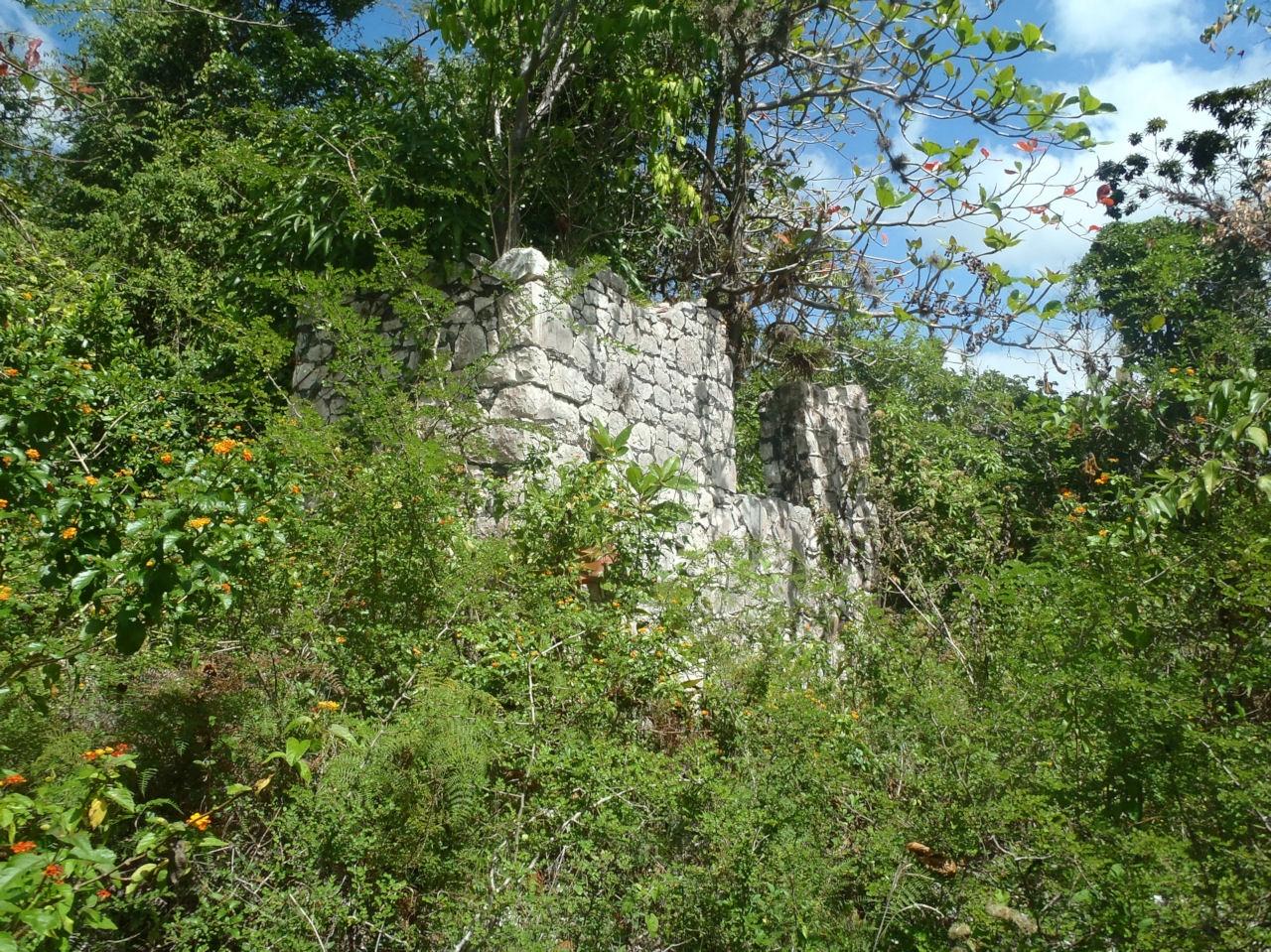Second image of Aroha--caledonia (part of Caledonia) in Caledonia, Westmoreland, Jamaica - property is For Sale