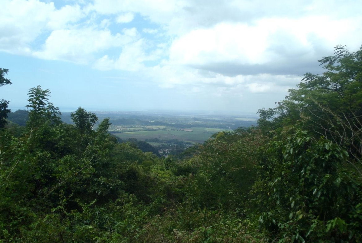 First image of Aroha--caledonia (part of Caledonia) in Caledonia, Westmoreland, Jamaica - property is For Sale