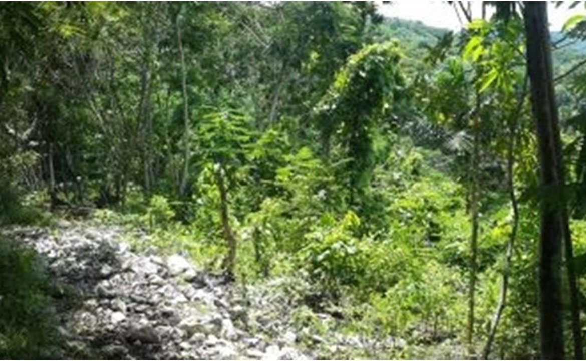 Fourth image of Aroha--caledonia (part of Caledonia) in Caledonia, Westmoreland, Jamaica - property is For Sale