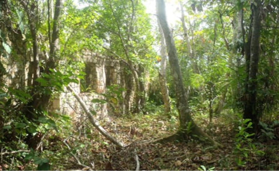 Fifth image of Aroha--caledonia (part of Caledonia) in Caledonia, Westmoreland, Jamaica - property is For Sale