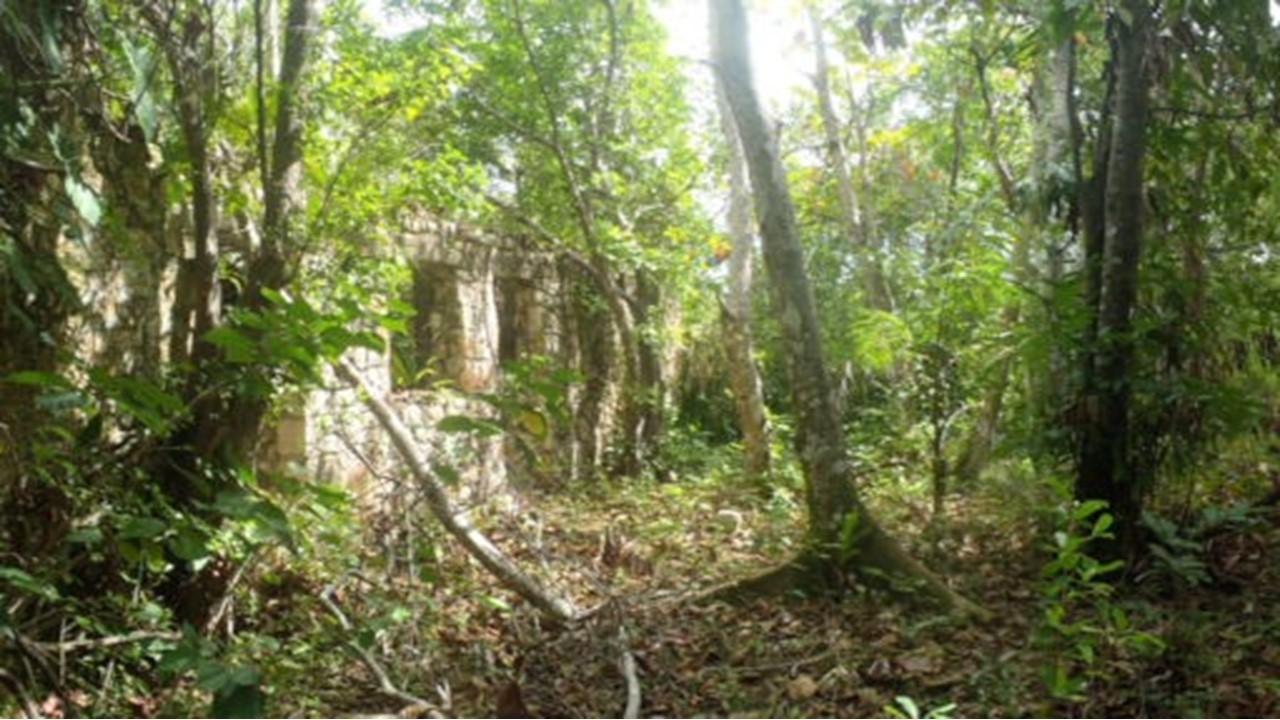 Fifth image of Aroha--caledonia (part of Caledonia) in Caledonia, Westmoreland, Jamaica - property is For Sale