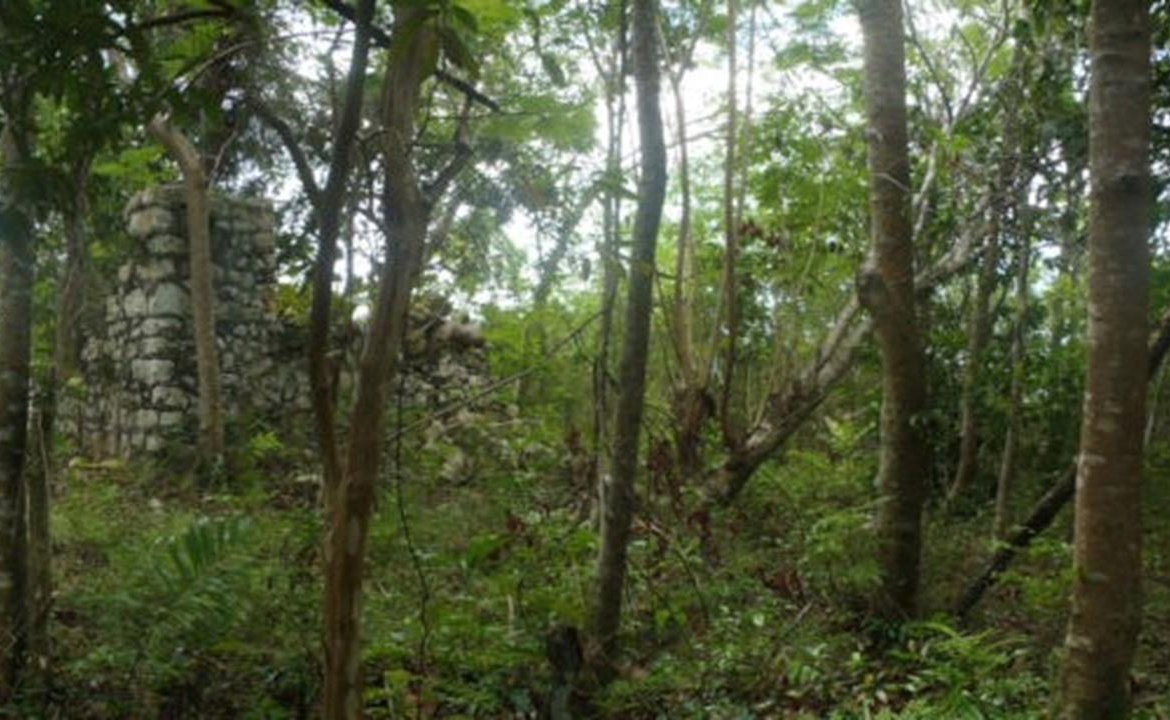 Sixth image of Aroha--caledonia (part of Caledonia) in Caledonia, Westmoreland, Jamaica - property is For Sale