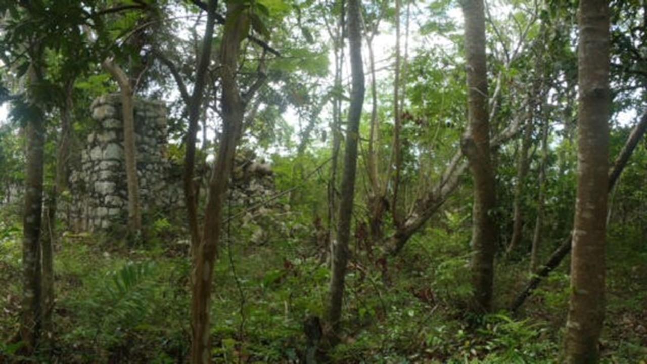 Sixth image of Aroha--caledonia (part of Caledonia) in Caledonia, Westmoreland, Jamaica - property is For Sale