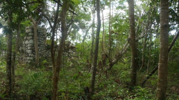 Sixth image of Aroha--caledonia (part of Caledonia) in Caledonia, Westmoreland, Jamaica - property is For Sale