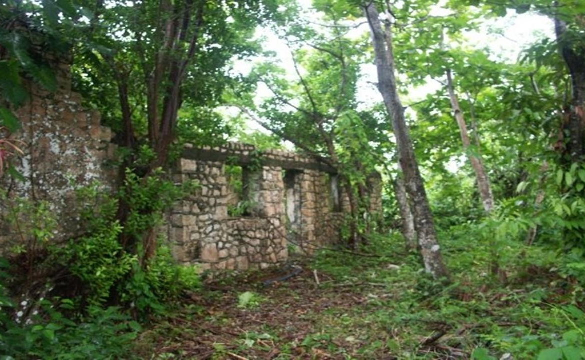 Seventh image of Aroha--caledonia (part of Caledonia) in Caledonia, Westmoreland, Jamaica - property is For Sale