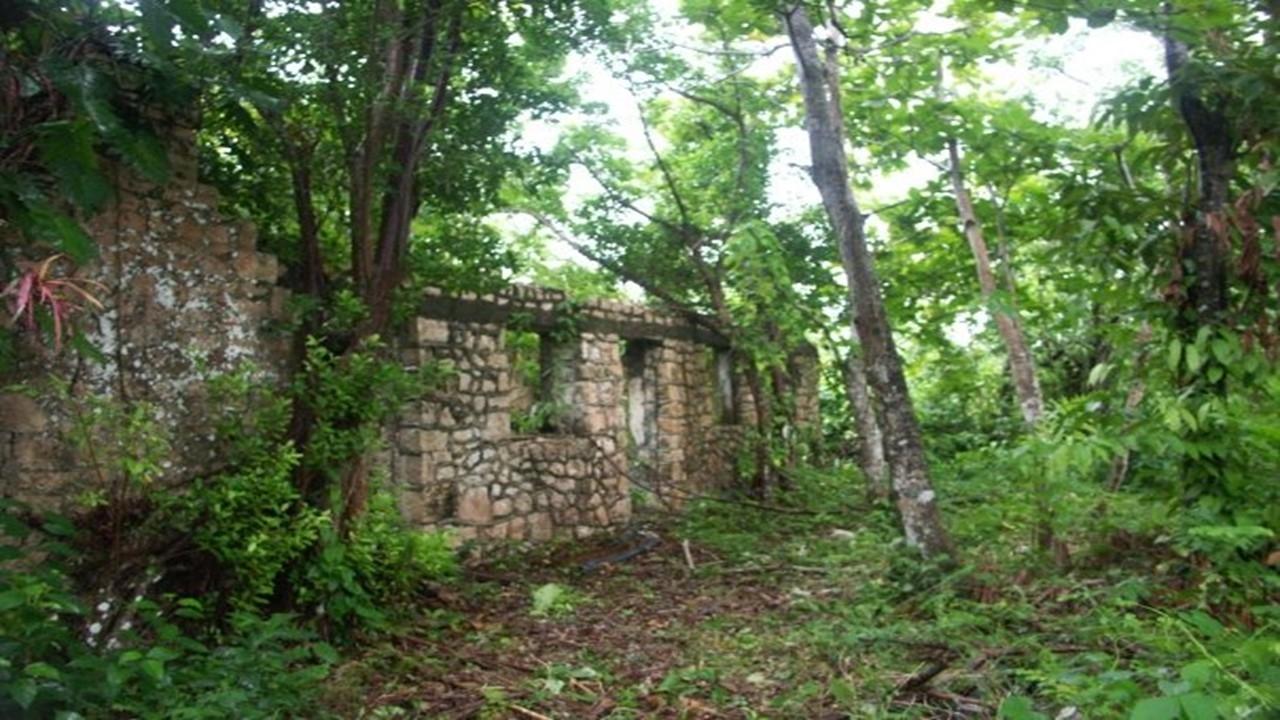 Seventh image of Aroha--caledonia (part of Caledonia) in Caledonia, Westmoreland, Jamaica - property is For Sale