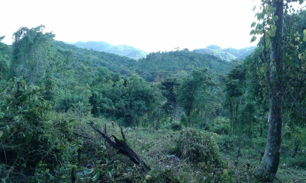 Eighth image of Aroha--caledonia (part of Caledonia) in Caledonia, Westmoreland, Jamaica - property is For Sale