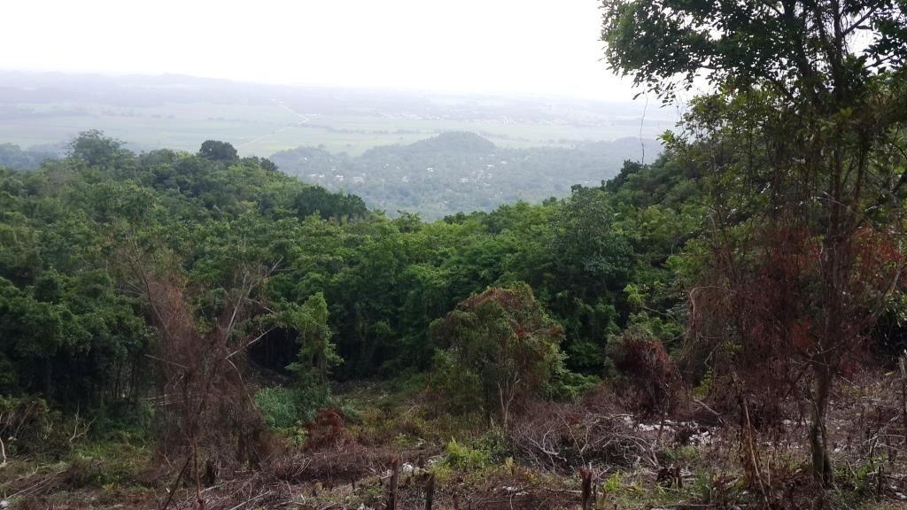 Ninth image of Aroha--caledonia (part of Caledonia) in Caledonia, Westmoreland, Jamaica - property is For Sale