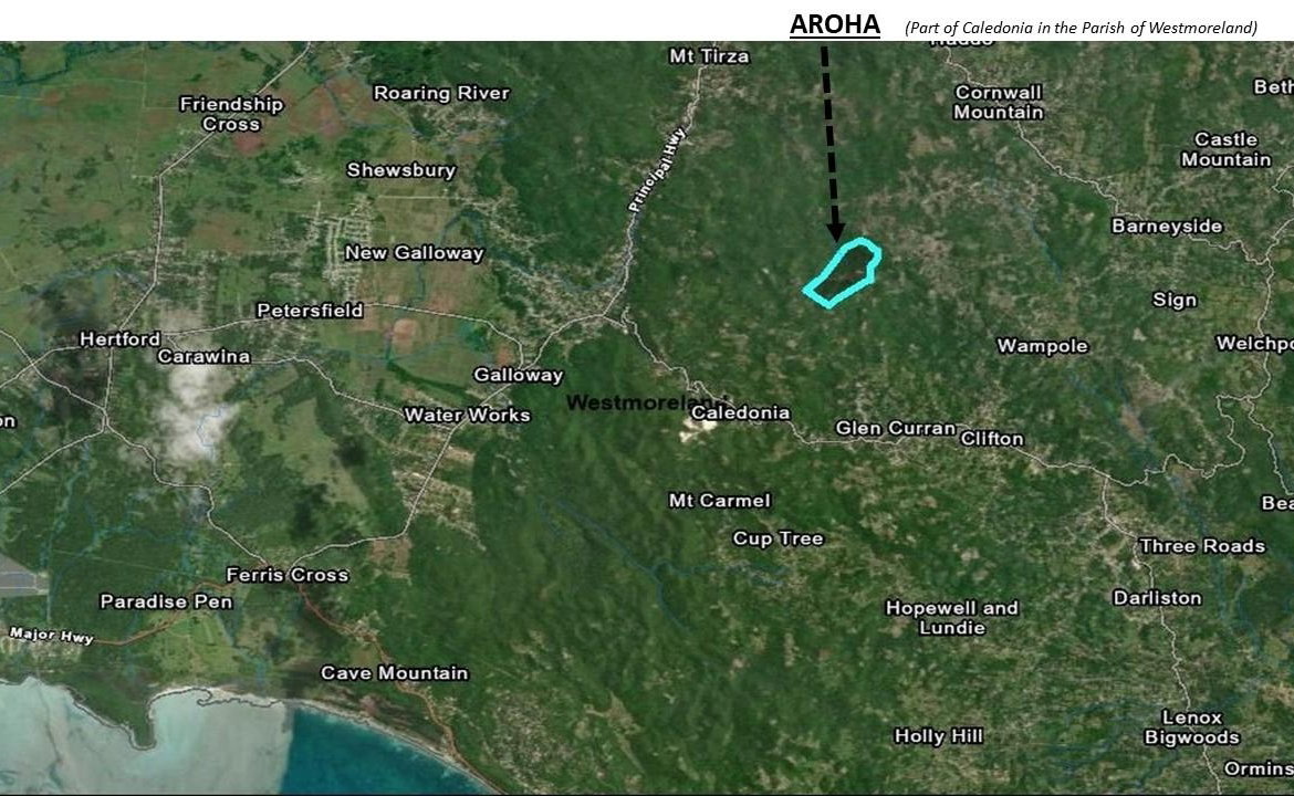 Tenth image of Aroha--caledonia (part of Caledonia) in Caledonia, Westmoreland, Jamaica - property is For Sale