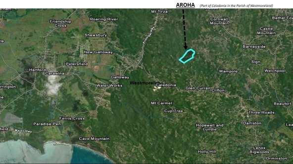 Tenth image of Aroha--caledonia (part of Caledonia) in Caledonia, Westmoreland, Jamaica - property is For Sale