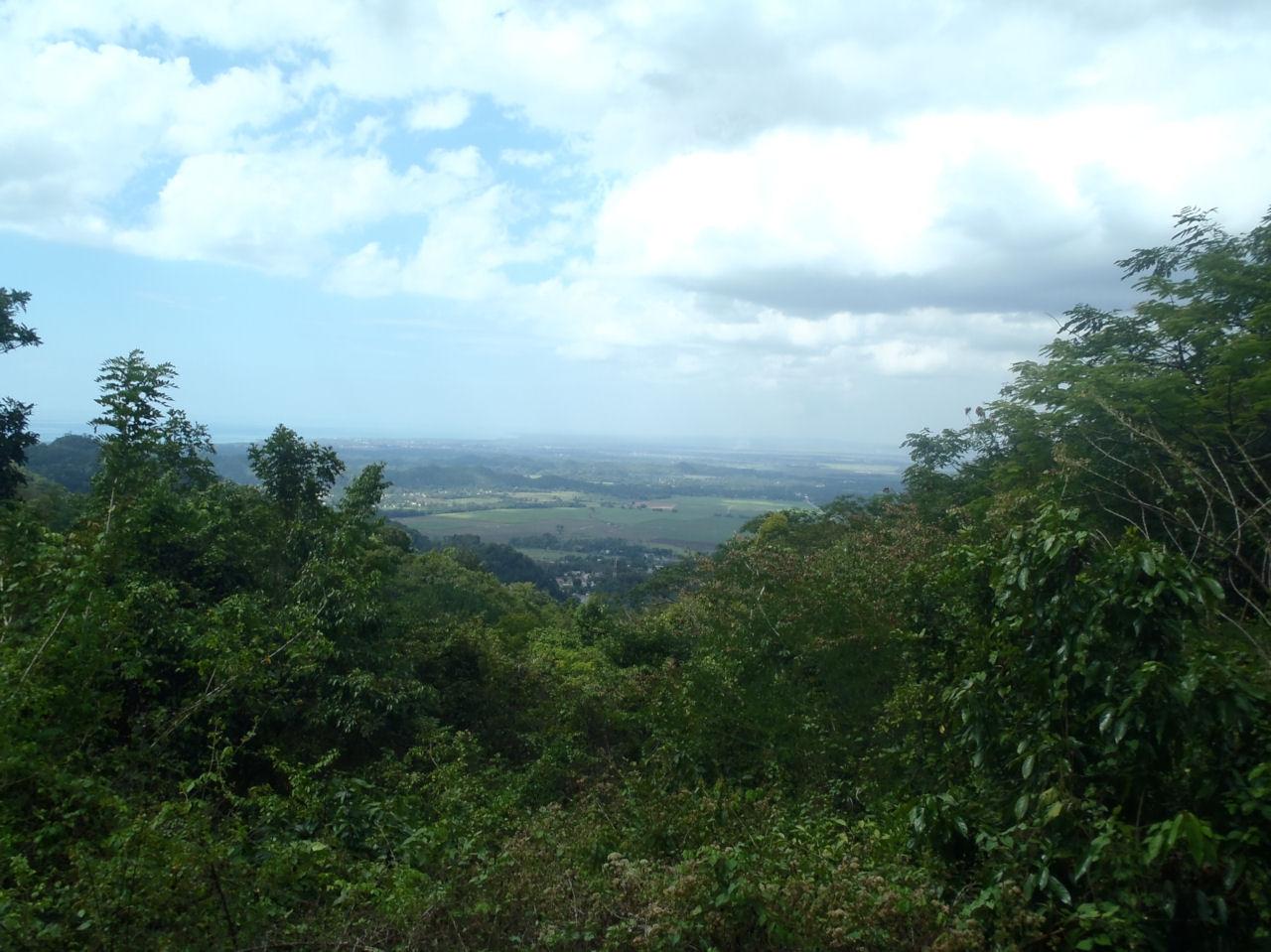 First image of Aroha--caledonia (part of Caledonia) in Caledonia, Westmoreland, Jamaica - property is For Sale