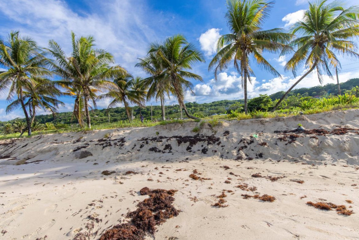 Second image of Main Street, Long Bay in Long Bay, Portland, Jamaica - property is For Sale