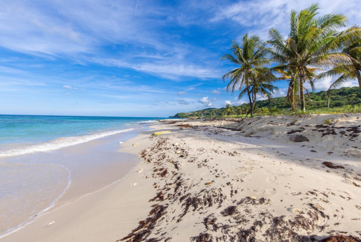 Sixth image of Main Street, Long Bay in Long Bay, Portland, Jamaica - property is For Sale