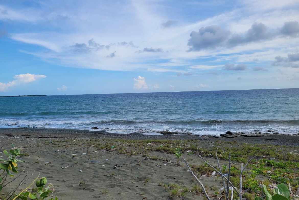 Third image of Pondside Yallahs in Yallahs, St. Thomas, Jamaica - property is For Sale