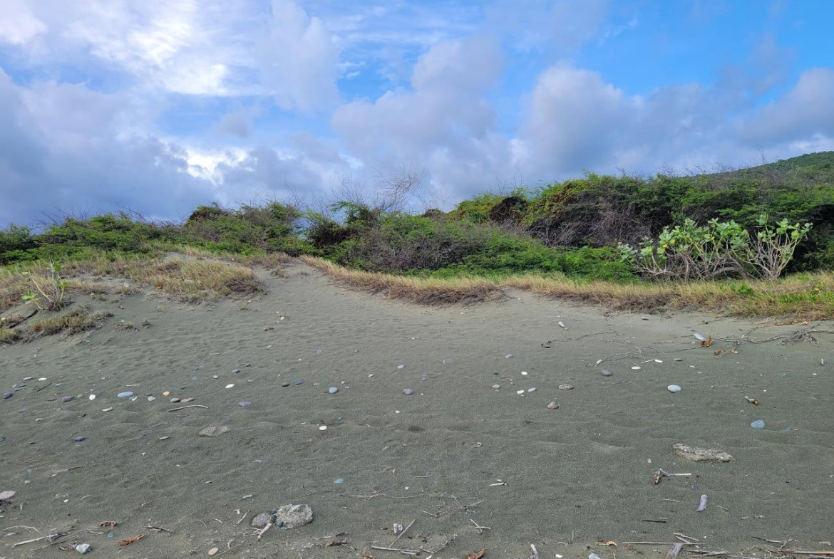 Fourth image of Pondside Yallahs in Yallahs, St. Thomas, Jamaica - property is For Sale
