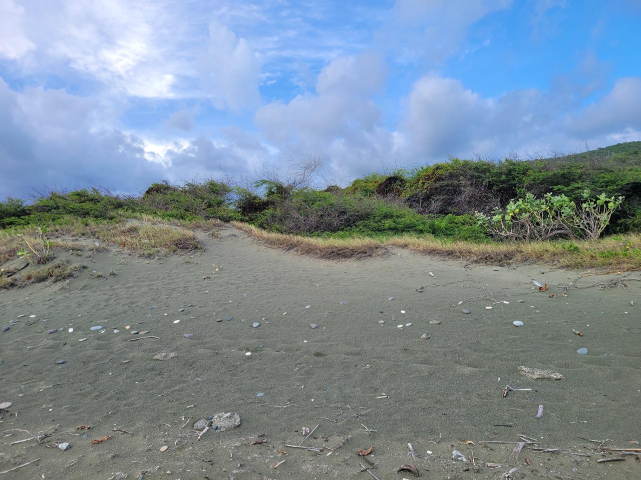 Fourth image of Pondside Yallahs in Yallahs, St. Thomas, Jamaica - property is For Sale