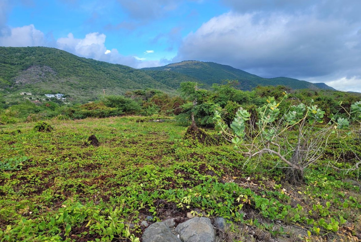 Fifth image of Pondside Yallahs in Yallahs, St. Thomas, Jamaica - property is For Sale