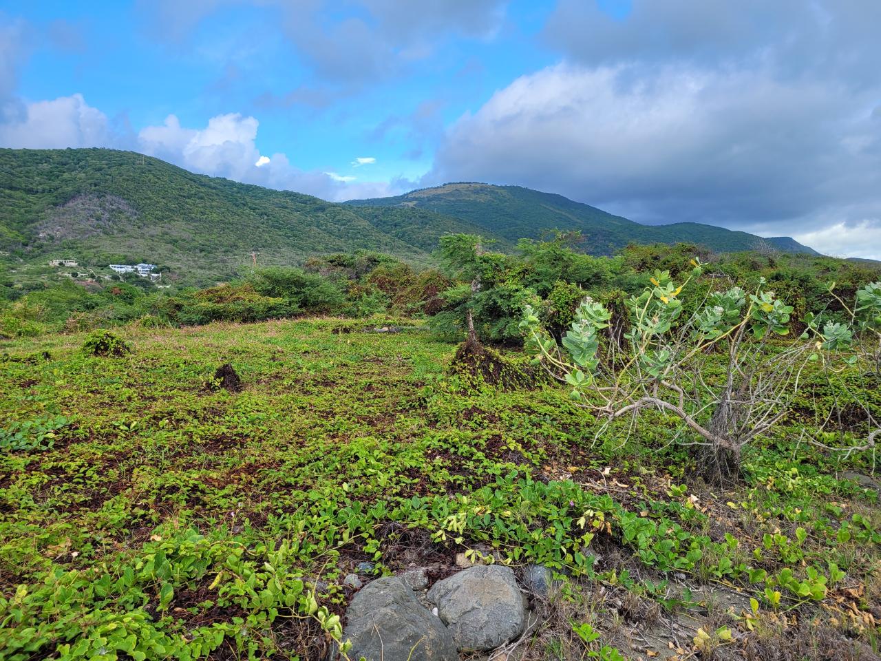 Fifth image of Pondside Yallahs in Yallahs, St. Thomas, Jamaica - property is For Sale