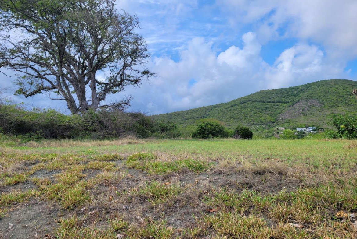 Sixth image of Pondside Yallahs in Yallahs, St. Thomas, Jamaica - property is For Sale