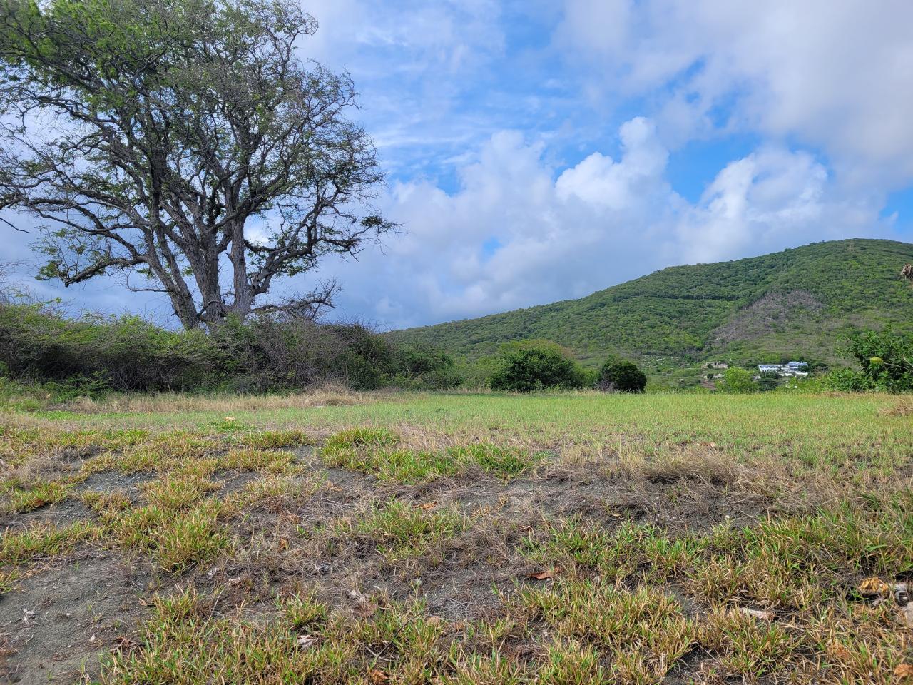 Sixth image of Pondside Yallahs in Yallahs, St. Thomas, Jamaica - property is For Sale