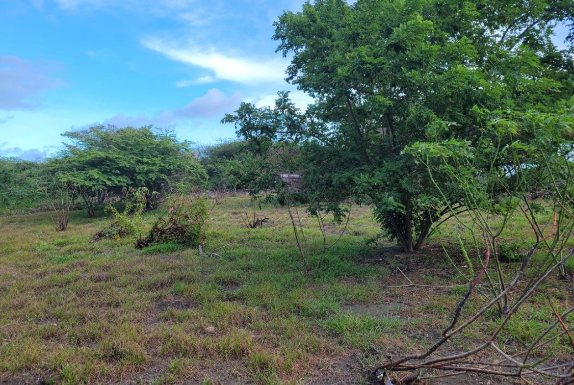 Seventh image of Pondside Yallahs in Yallahs, St. Thomas, Jamaica - property is For Sale