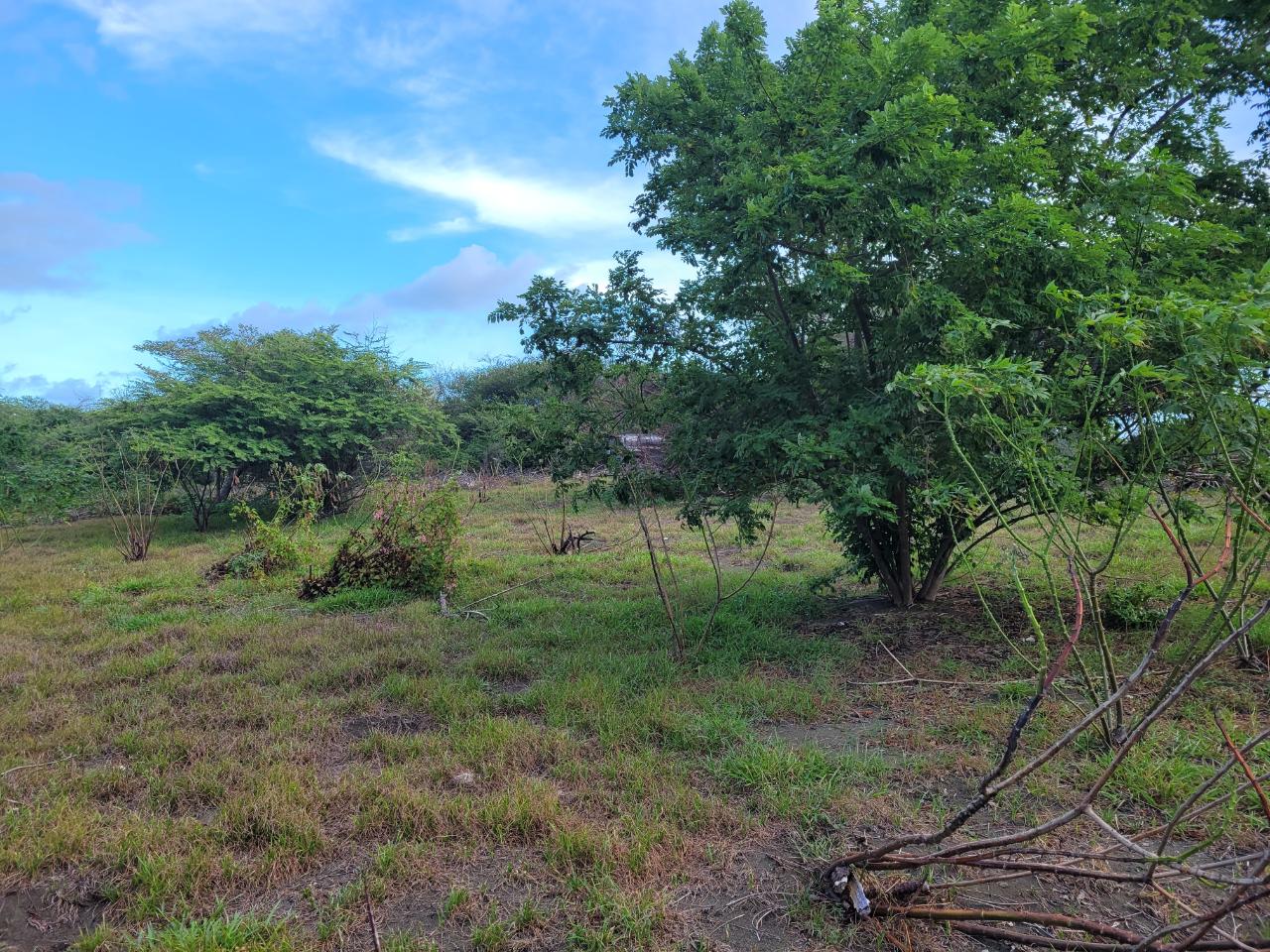 Seventh image of Pondside Yallahs in Yallahs, St. Thomas, Jamaica - property is For Sale