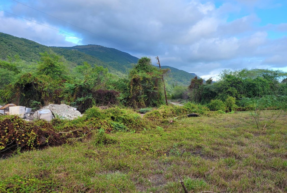 Eighth image of Pondside Yallahs in Yallahs, St. Thomas, Jamaica - property is For Sale