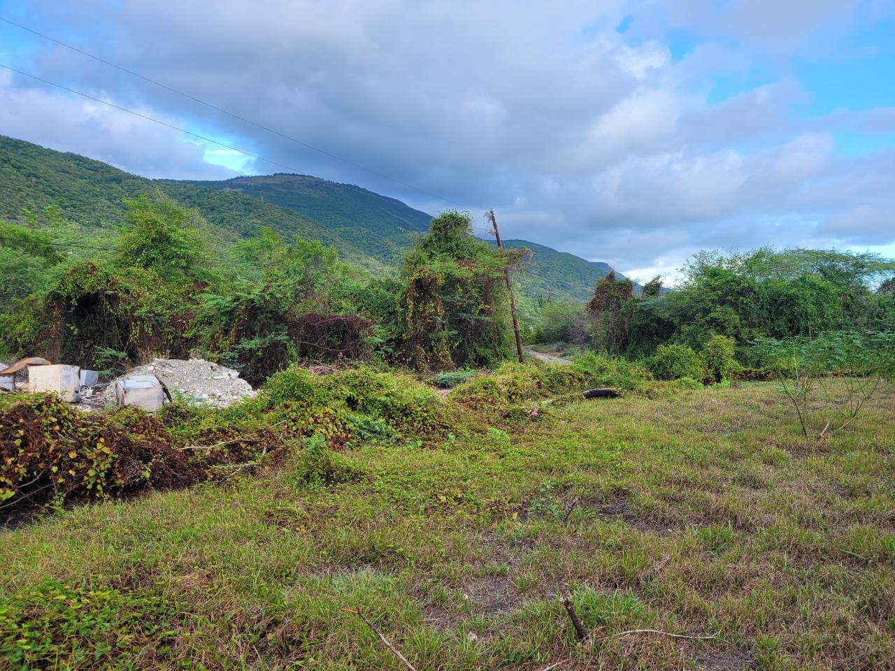 Eighth image of Pondside Yallahs in Yallahs, St. Thomas, Jamaica - property is For Sale