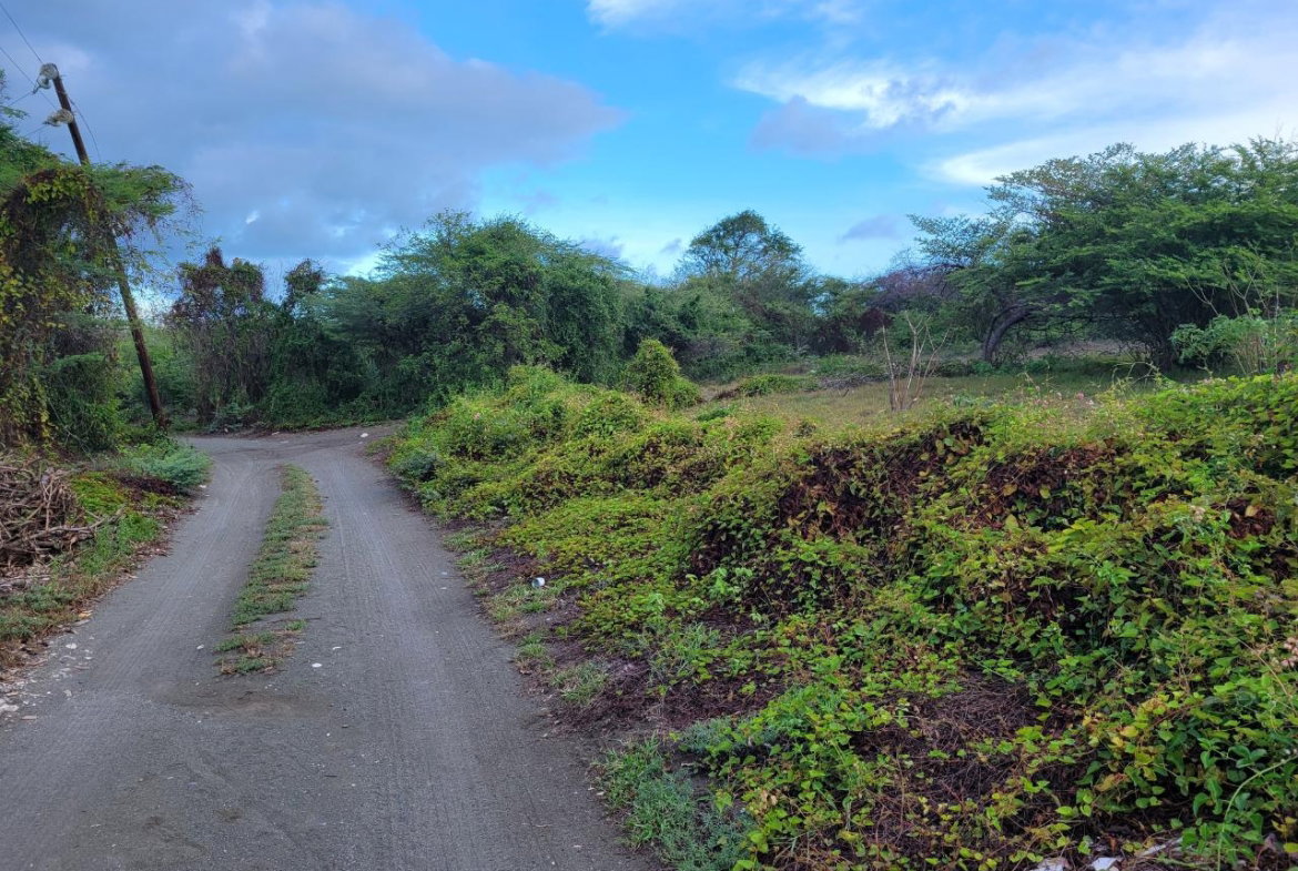 Ninth image of Pondside Yallahs in Yallahs, St. Thomas, Jamaica - property is For Sale
