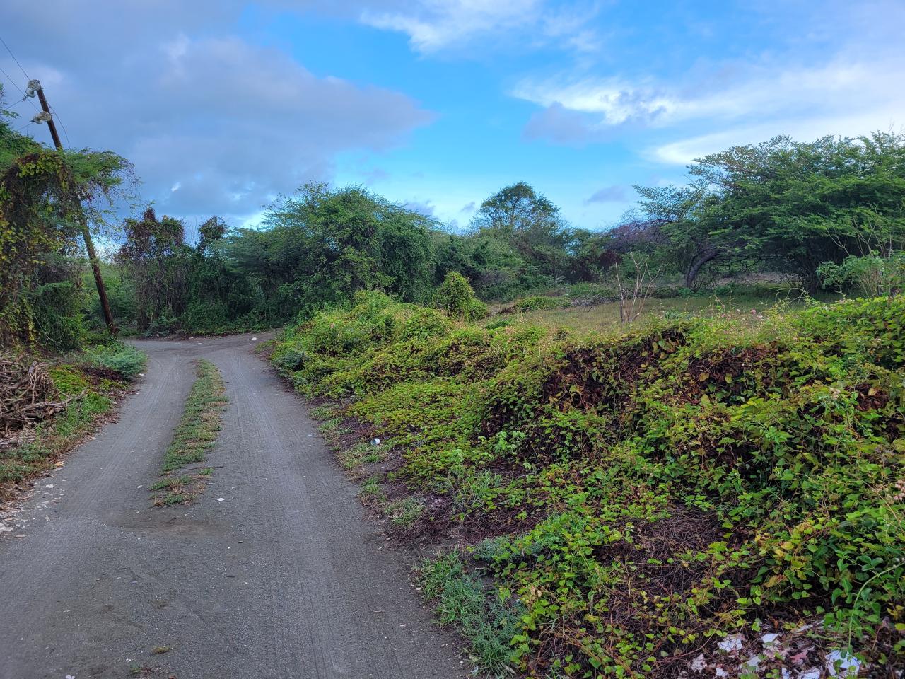 Ninth image of Pondside Yallahs in Yallahs, St. Thomas, Jamaica - property is For Sale