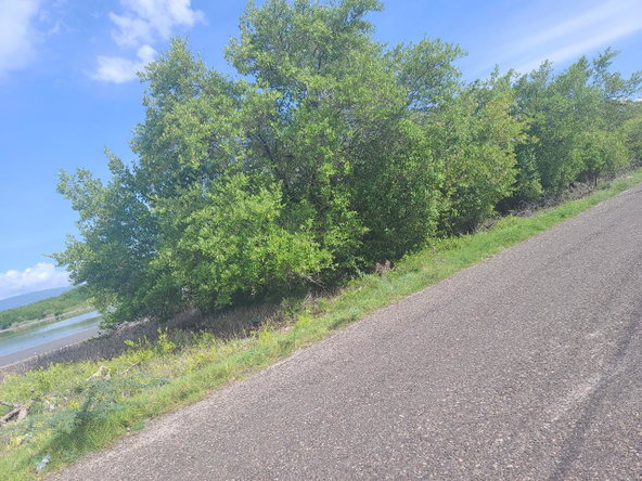 Twelfth image of Parottee in Parottee Beach, St. Elizabeth, Jamaica - property is For Sale