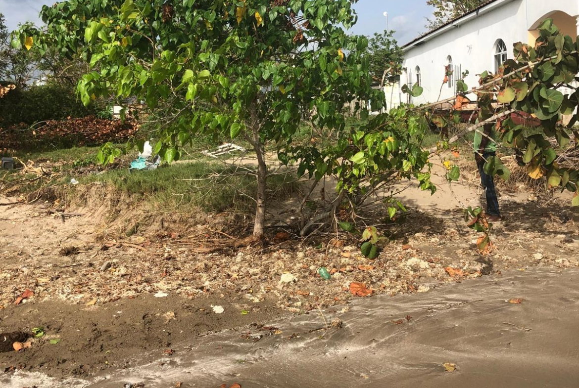 Second image of Parottee in Black River, St. Elizabeth, Jamaica - property is For Sale