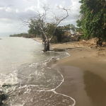 First image of Parottee in Black River, St. Elizabeth, Jamaica - property is For Sale