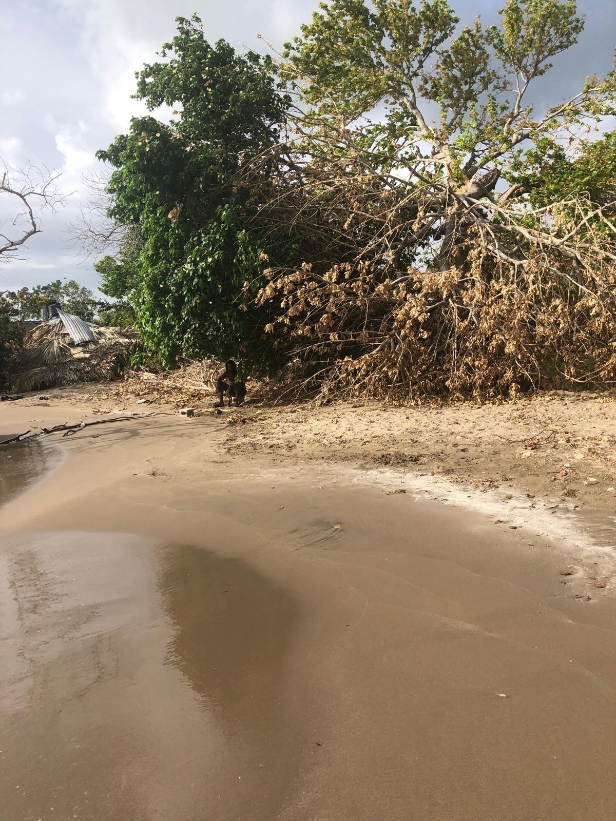 Beachfront-Lot-for-Sale-in-Parottee-St.-Elizabeth-Jamaica Third image of Parottee in Black River, St. Elizabeth, Jamaica - property is For Sale