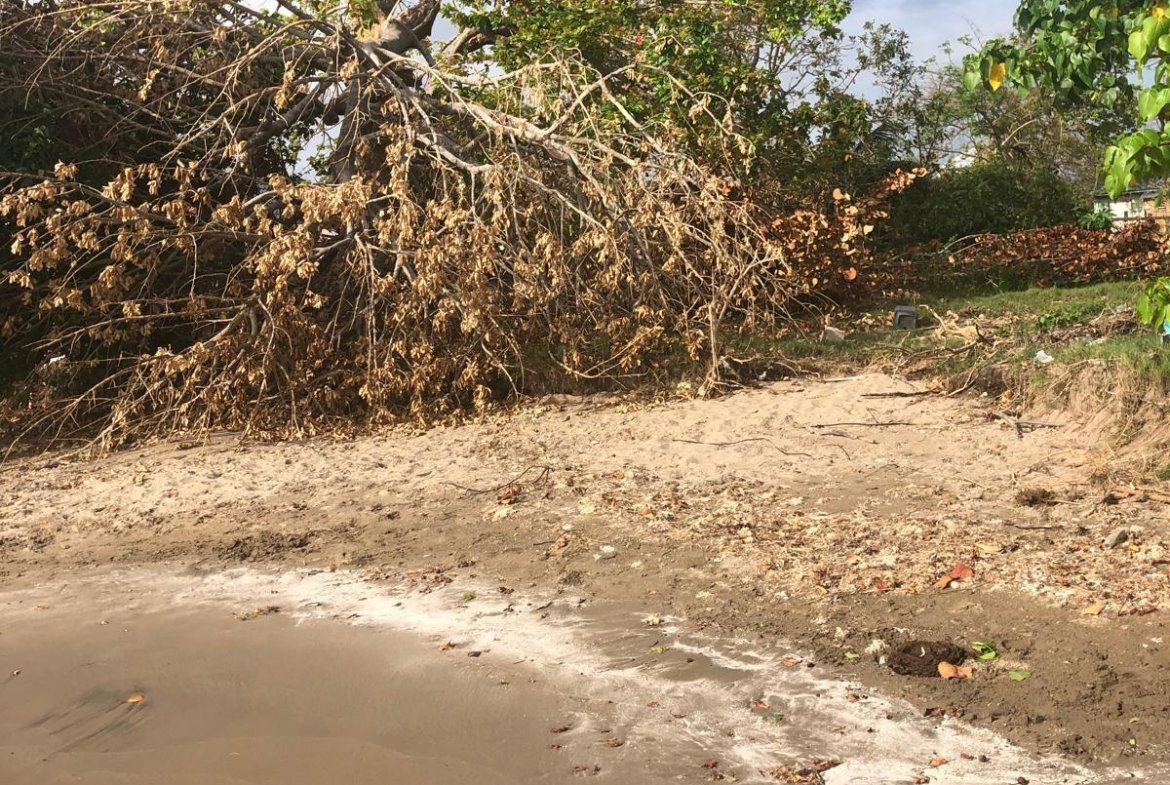Fourth image of Parottee in Black River, St. Elizabeth, Jamaica - property is For Sale