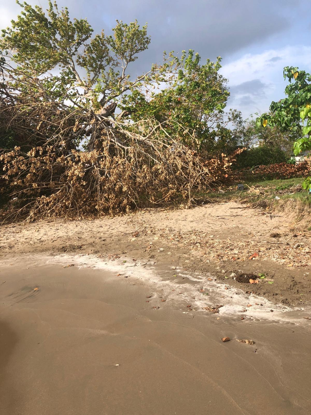 Beachfront-Lot-for-Sale-in-Parottee-St.-Elizabeth-Jamaica Fourth image of Parottee in Black River, St. Elizabeth, Jamaica - property is For Sale