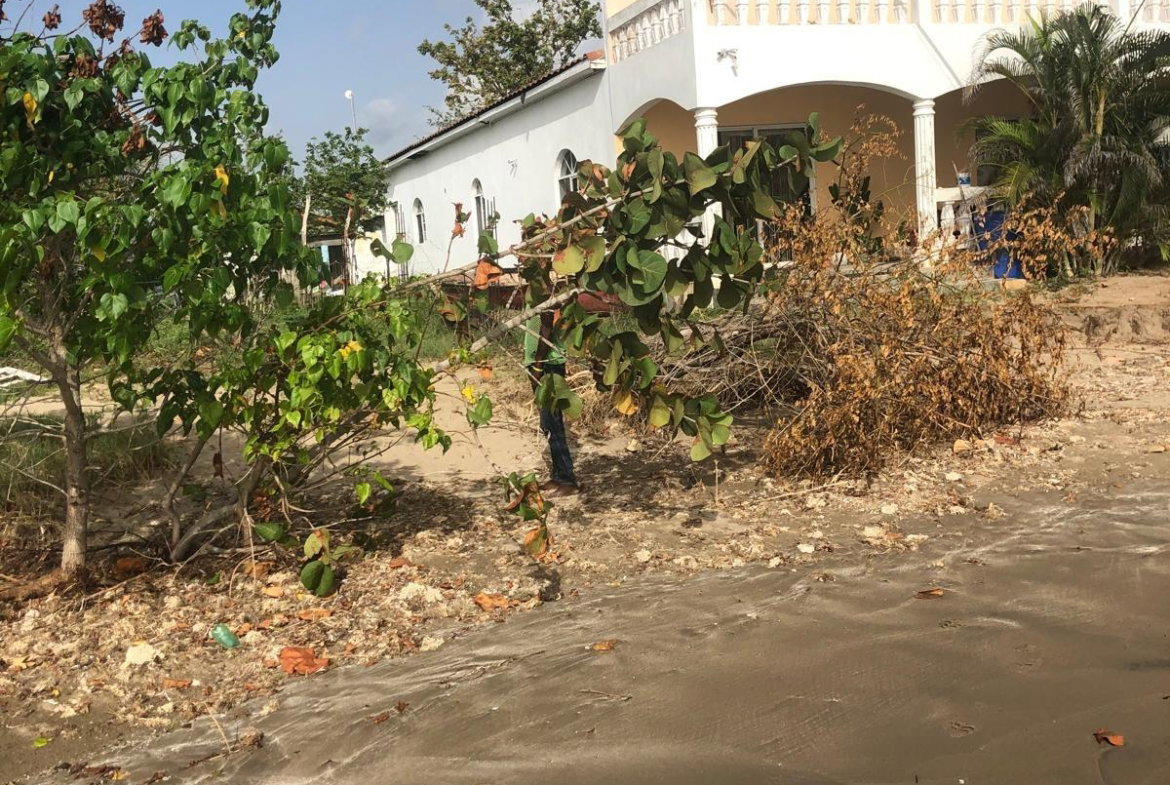 Fifth image of Parottee in Black River, St. Elizabeth, Jamaica - property is For Sale