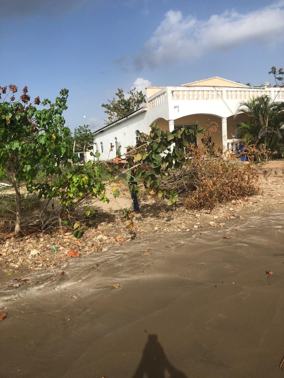 Beachfront-Lot-for-Sale-in-Parottee-St.-Elizabeth-Jamaica Fifth image of Parottee in Black River, St. Elizabeth, Jamaica - property is For Sale