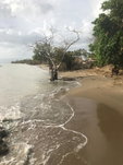 First image of Parottee in Black River, St. Elizabeth, Jamaica - property is For Sale