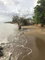 First image of Parottee in Black River, St. Elizabeth, Jamaica - property is For Sale