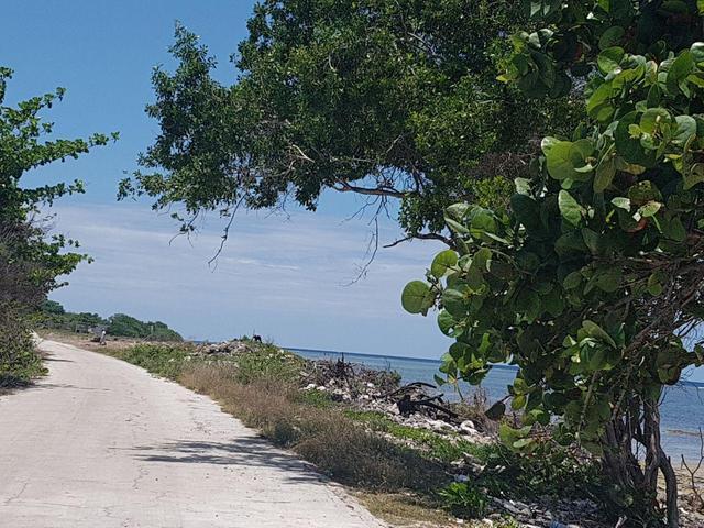 Fifteenth image of Love Hall/flamingo Beach in Falmouth, Trelawny, Jamaica - property is For Sale