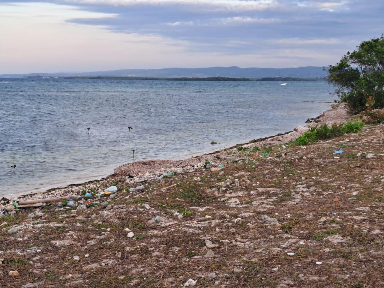 Fourth image of Love Hall/flamingo Beach in Falmouth, Trelawny, Jamaica - property is For Sale