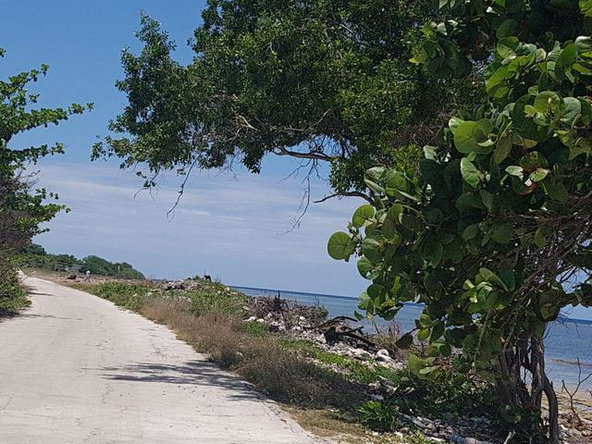 Eighth image of Love Hall/flamingo Beach in Falmouth, Trelawny, Jamaica - property is For Sale